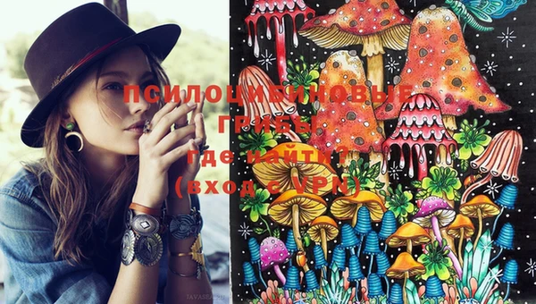 mdma Богданович