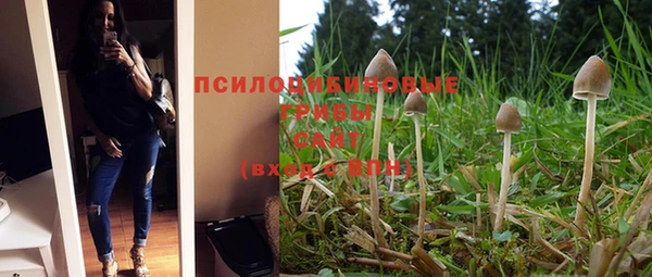 mdma Богданович