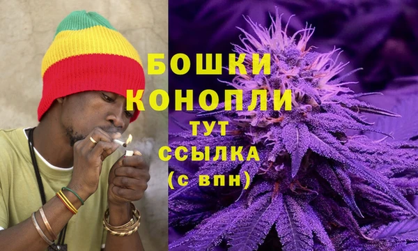ГАЛЛЮЦИНОГЕННЫЕ ГРИБЫ Богородицк