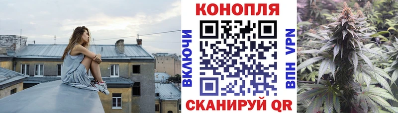 Бошки Шишки план  Купить где  Ладушкин 